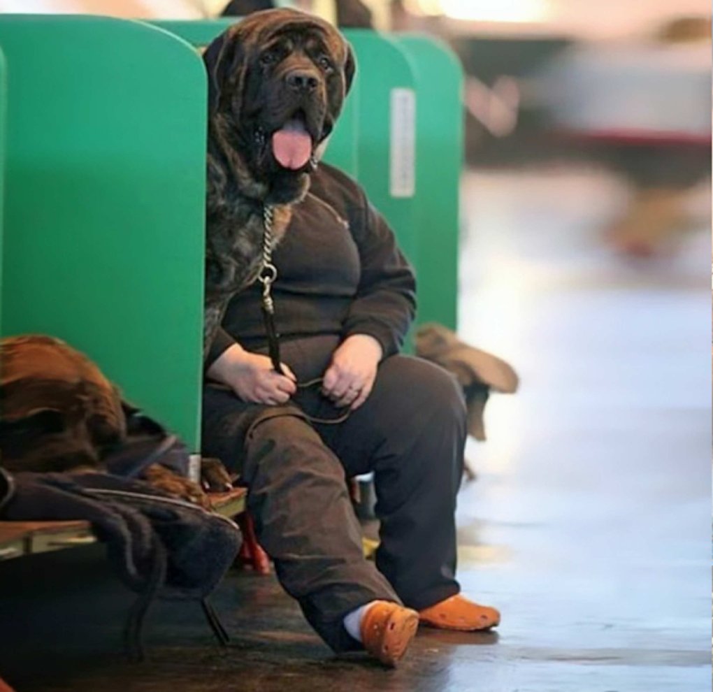 10-photographs-that-couldnt-have-been-timed-better-6