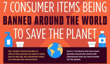 Consumer Products That Were banned For Good - Infographic