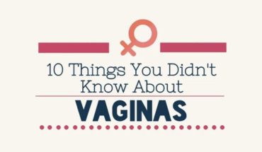 Time To Get To Know Vaginas Better - Infographic
