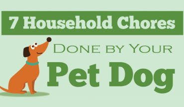 7 Ways Your Pet Dog Can Contribute To Household Chores - Infographic