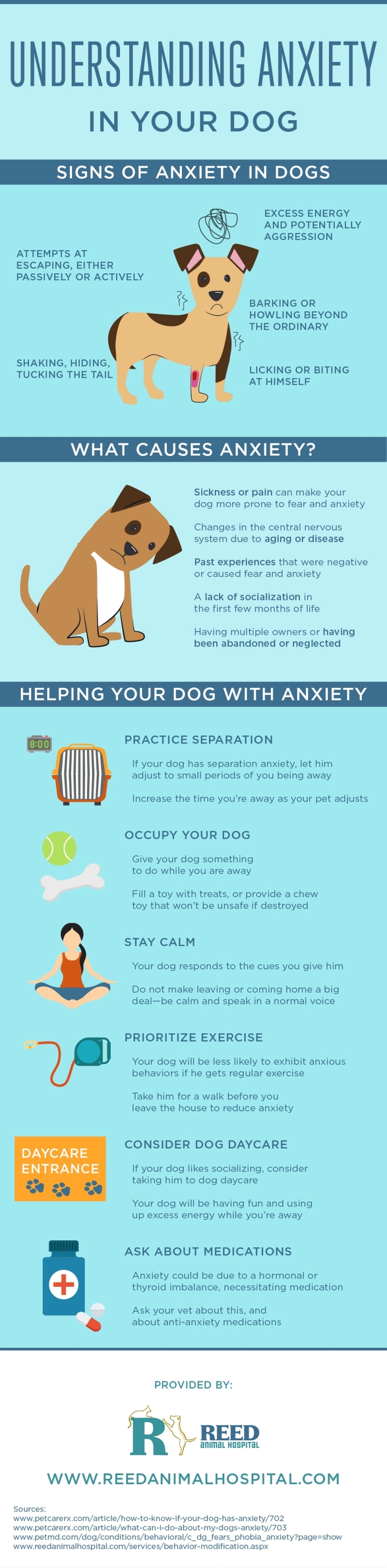 How To Help Your Dog Deal With Anxiety Infographic