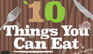 Did You Know You Can Eat These? - Infographic