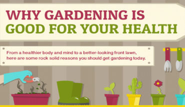 Health Benefits Of Gardening - Infographic