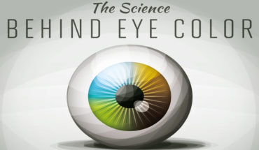 Scientific Explanation Behind The Color Of Your Eyes - Infographic