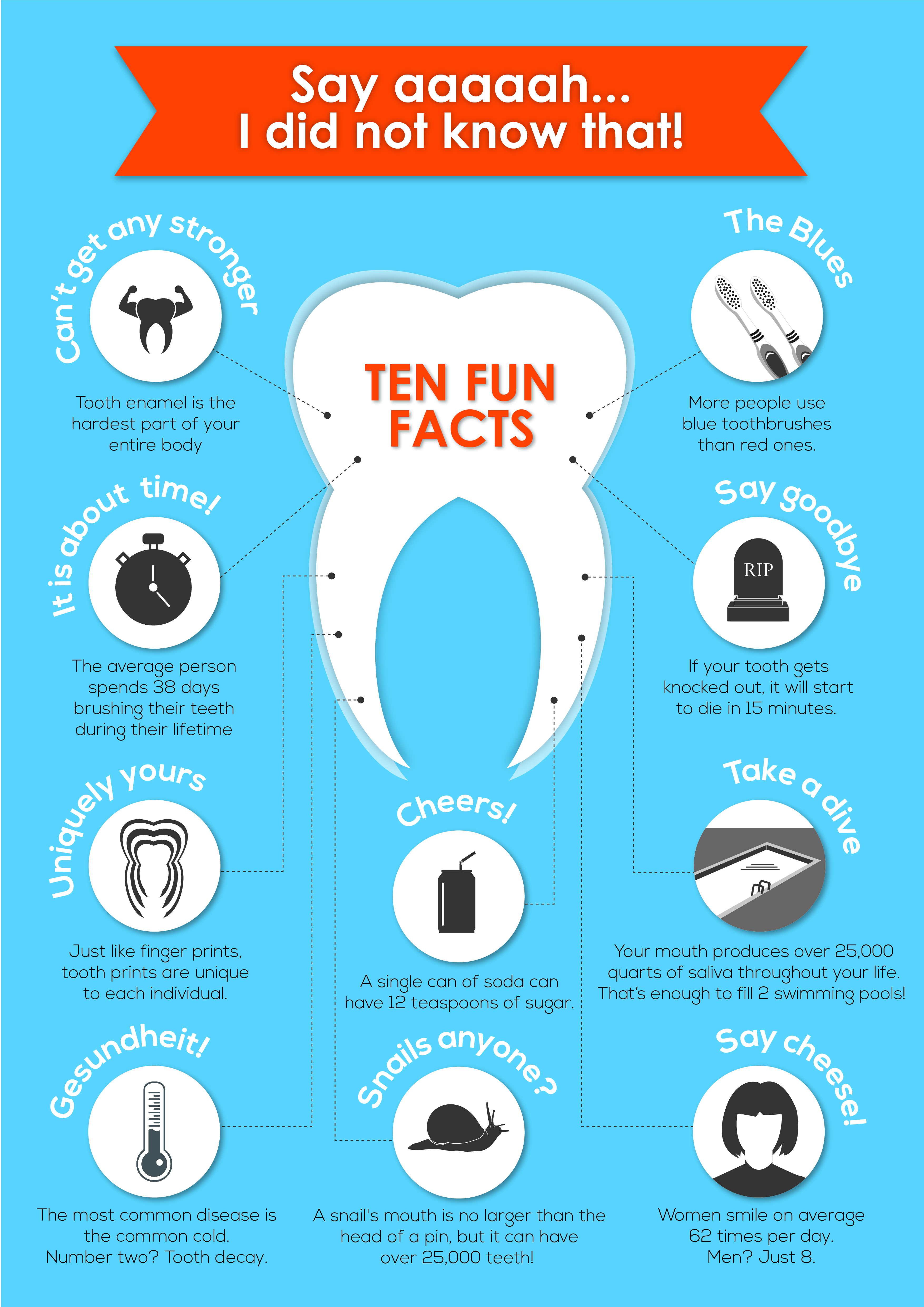 What You Don't Know About Your Teeth - Infographic