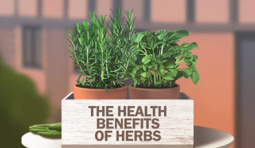 Herbs And Their Various Health Benefits - Infographic