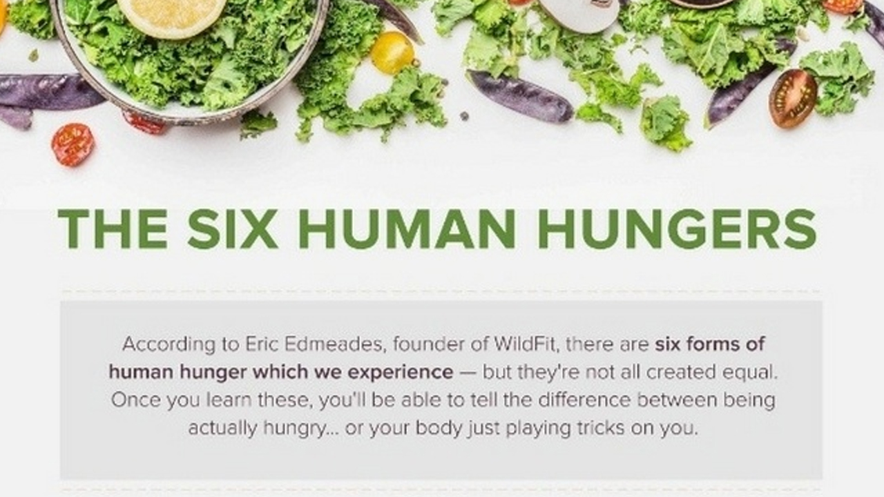 Hungger Type The Six Types Of Human Hunger - Infographic