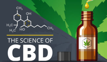 Understanding How CBD Actually Works - Infographic
