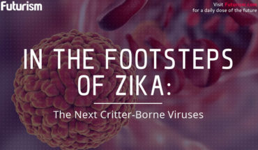 Upcoming Zika-Like Viruses To Beware Of - Infographic
