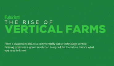 Vertical Farms To The Rescue! - Infographic