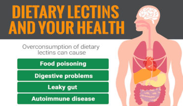 What Is Dietary Lectins? Everything You Should Know - Infographic