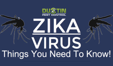 Zika Virus: Everything You Need To Know - Infographic