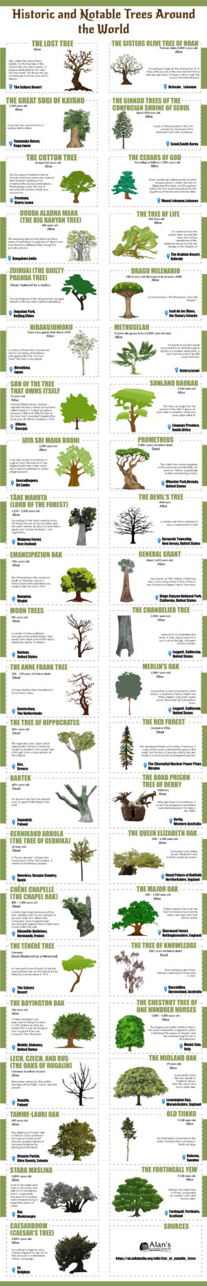 43 Trees 43 Trees from History Books - Infographic