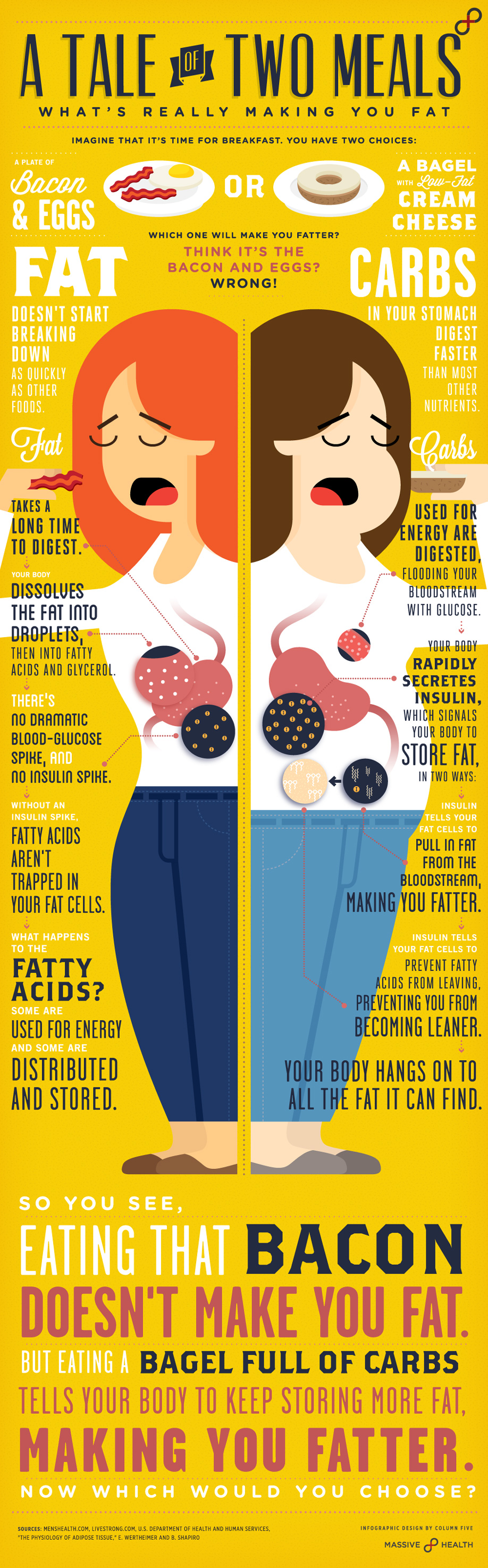 Fat vs Fit Breakfast – You Choose - Infographic