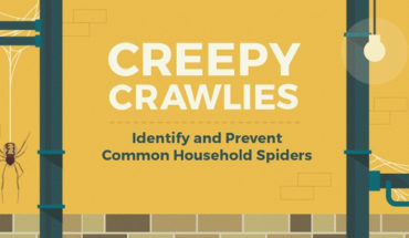 How to Keep Creepy Spiders Out of Your Home - Infographic