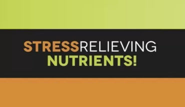 Natural Stress Busters - Infographic