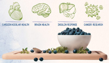Blueberries: Delicious, Juicy Pops of Good Health - Infographic