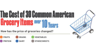 The Rise or Drop of American Grocery Prices: A 10-Year Graph - Infographic