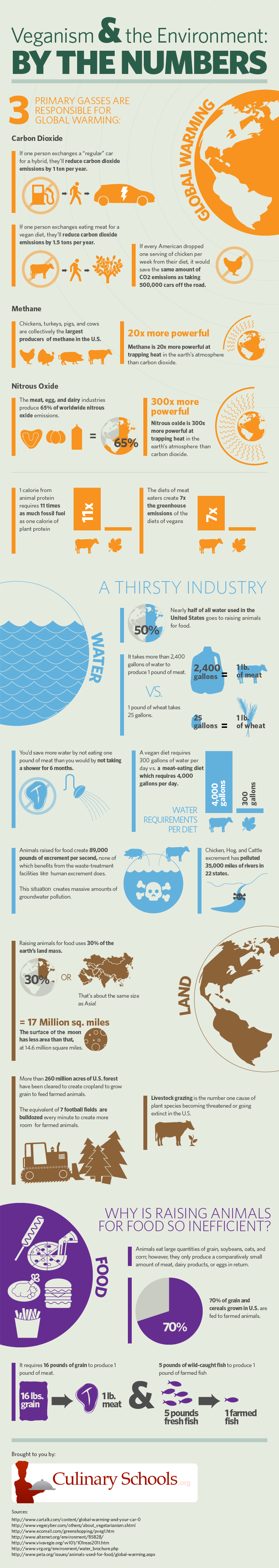 Why Veganism is Healthy for the Environment - Infographic