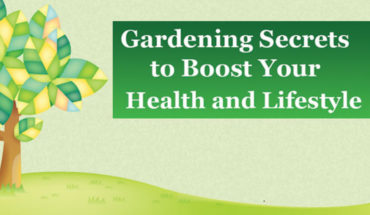 Gardening Hacks That Will Change Your Life - Infographic
