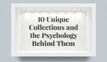The Art of Collecting: 10 Unique and Intriguing Personal Collections - Infographic