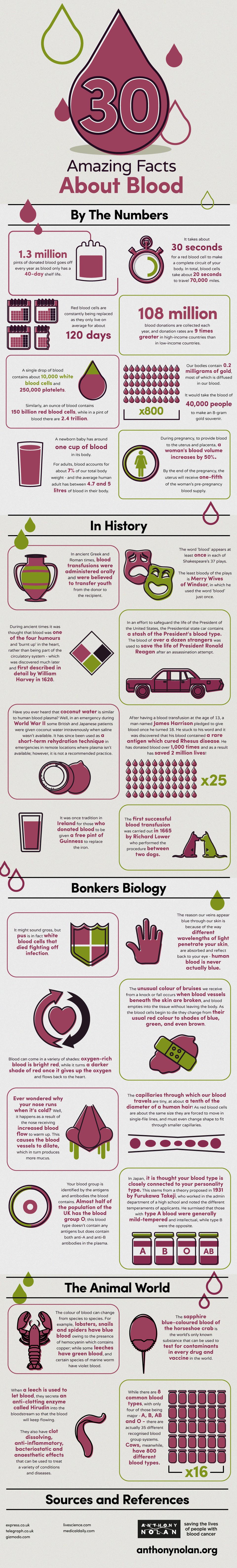 Bloody Trivia! 30 Unusual Facts About Blood - Infographic