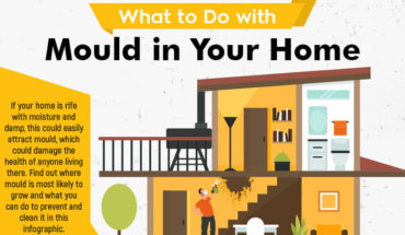 How to Make Your Home Mold-Free Permanently - Infographic