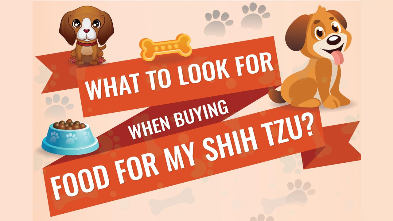 Your Shih Tzu’s Diet Plan What’s Important and What to Look For Infographic