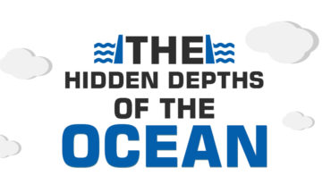 Dive Deep: Discover the Surreal Hidden Depths of the Ocean - Infographic