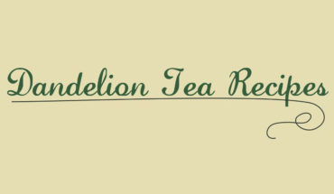 Sip Your Way to Wellness: Dandelion Tea Recipes - Infographic