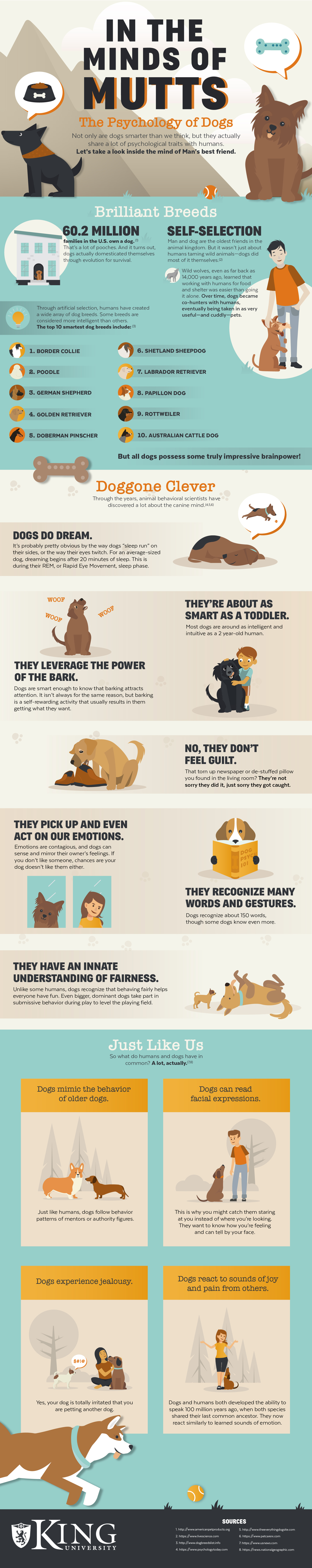 Why Dogs are Man’s Best Friends: The Psychology of Dogs - Infographic