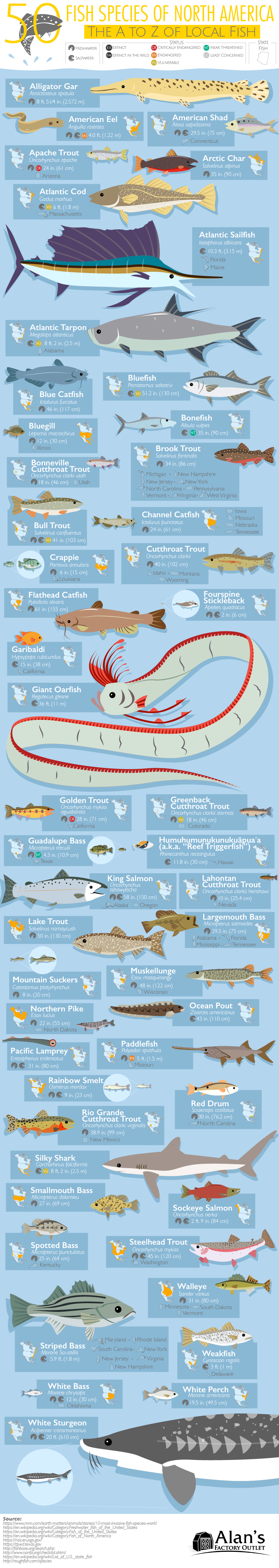 Know Your Fish: 50 Species of North America - Infographic