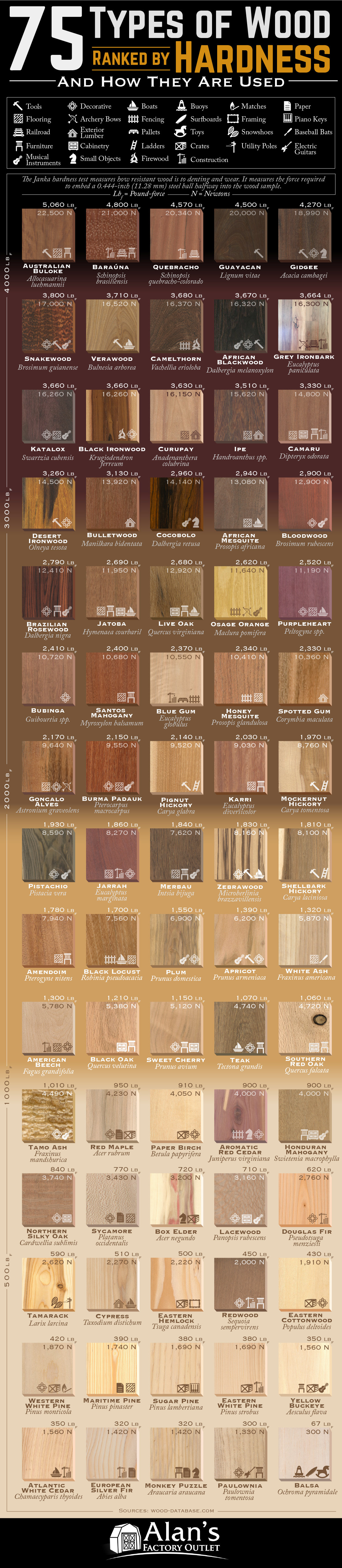 Ranking of 75 Types of Wood According to the Janka Hardness Test - Infographic