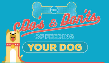 The Comprehensive List of Good & Bad Foods for Your Dog - Infographic