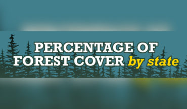The Great Open Outdoors: State-Wise Forest Cover in USA - Infographic