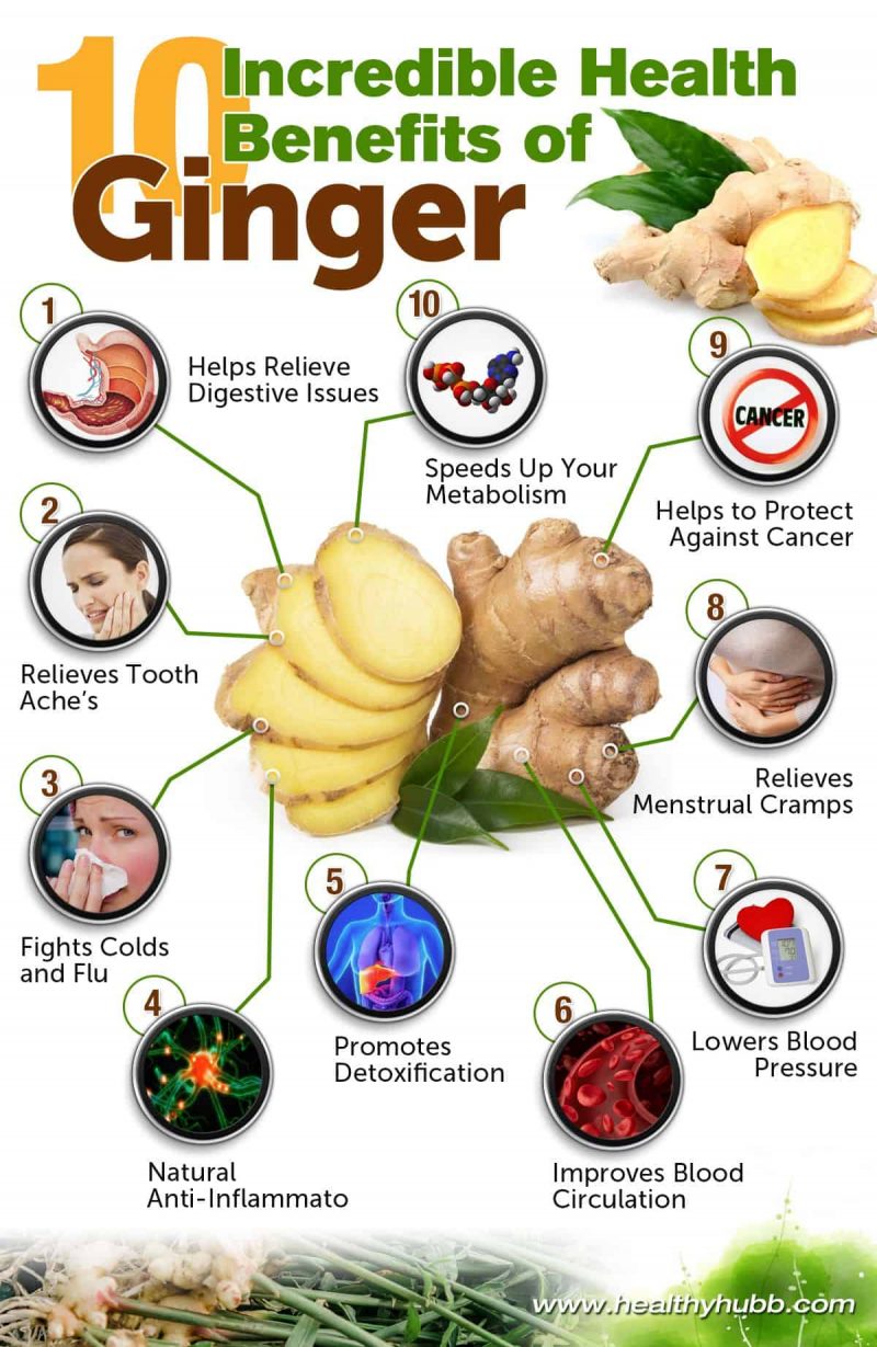A Wonder Plant Called Ginger: 10 Extraordinary Health Benefits - Infographic