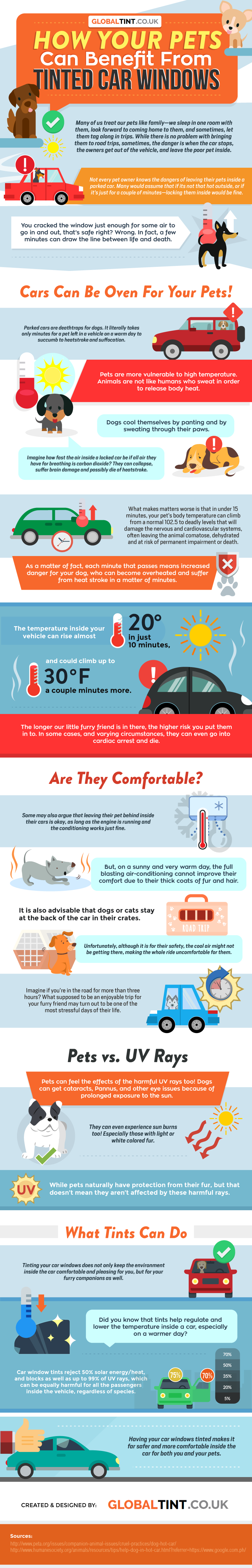 If Your Pet Loves Drives, You Need Car Tints: Here’s Why - Infographic