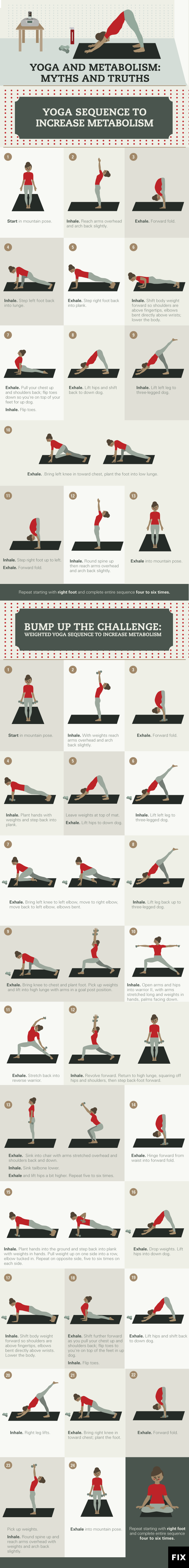 Myth and Reality: Facts About Yoga - Infographic