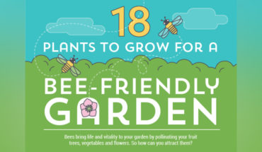 The World Needs Bees! How to Create an Inviting Bee-Friendly Garden - Infographic