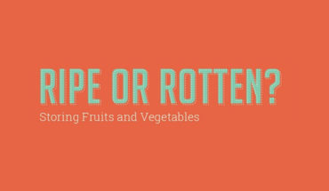 A Master Guide on How to Store Fruits and Veggies - Infographic