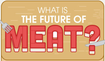 Feeding the Future: Sustainable Meat Alternatives - Infographic