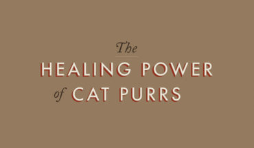 The Magical Connect between Cat Purrs and Negative Energy - Infographic