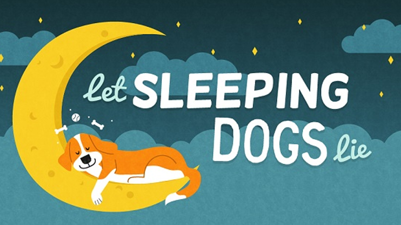 Why Dogs Need More Sleep than Humans Infographic