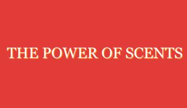 The Most Powerful Sense of All: All About Smell - Infographic