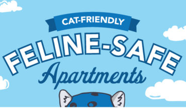 How to Make Your Apartment Cat-Friendly - Infographic