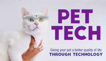 It’s a Pet’s World: How Technology is Making Life Better for Pets - Infographic