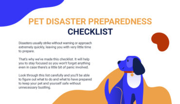How to Keep Your Pets Safe When Disaster Strikes - Infographic