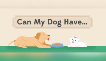 Human Foods on the Good-for-Doggie Scale - Infographic