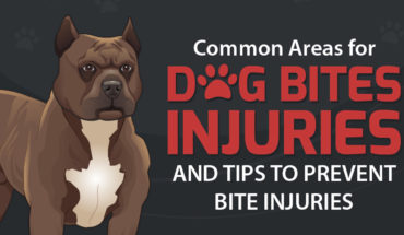 Tips to Prevent a Dog Bite - Infographic