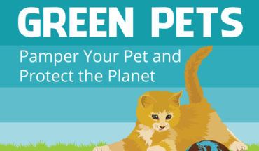 How to Show Your Love to Pets and Care for Your Planet Too - Infographic
